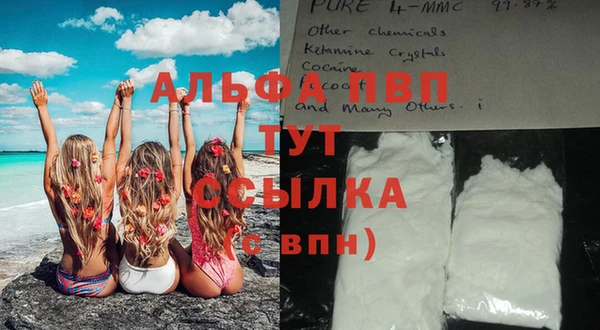 крисы Алзамай