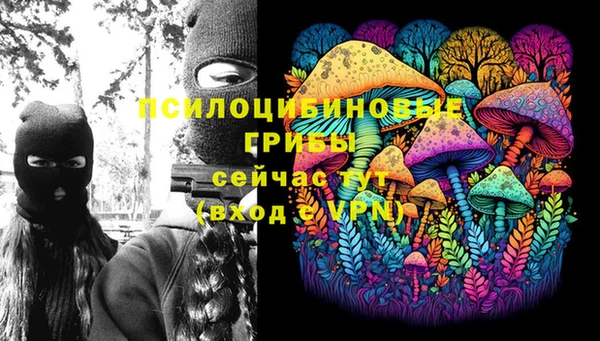 крисы Алзамай