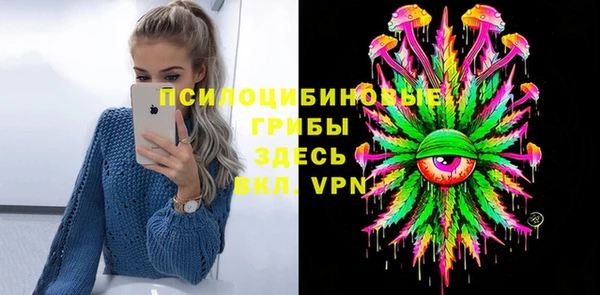 крисы Алзамай