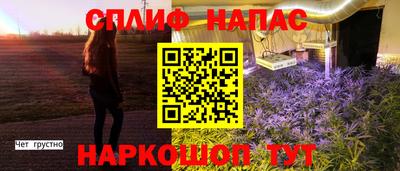 шишки Кимры