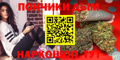 шишки Кимры