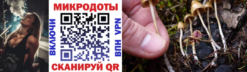 Псилоцибиновые грибы Magic Shrooms  Нижний Тагил 