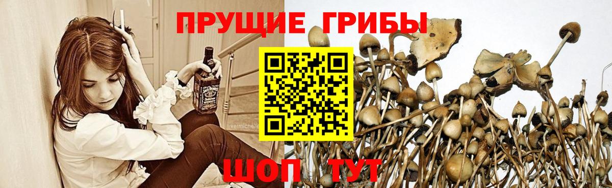 Псилоцибиновые грибы Magic Shrooms  Вход с VPN  Нижний Тагил 